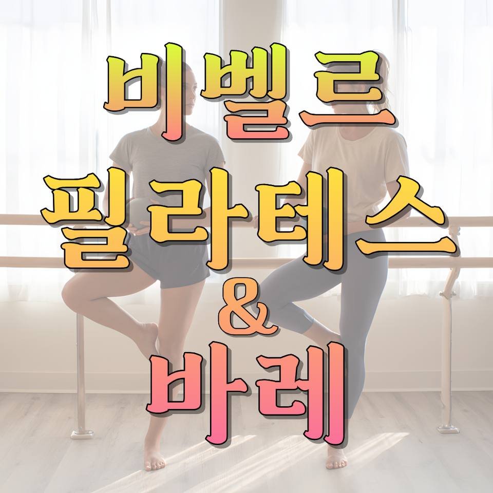아산 반려견 미용 몽실 사진 1